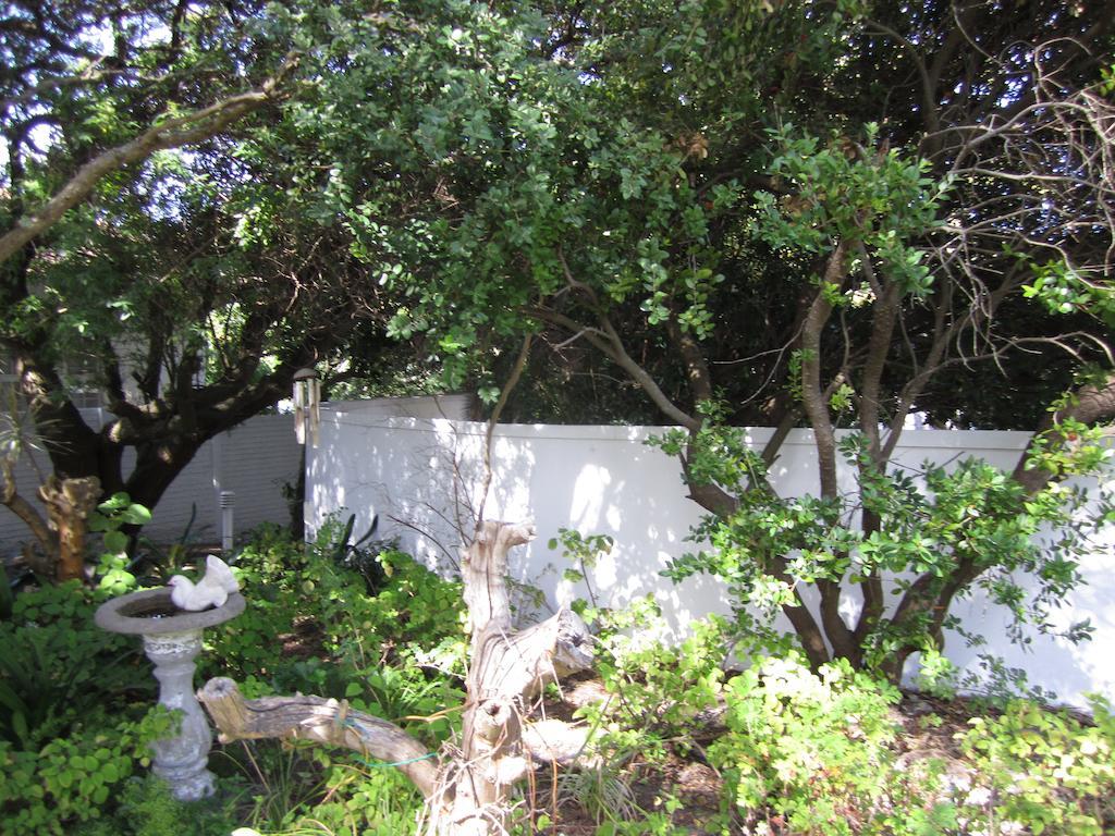 Applegarth B&B And Self-Catering Studios Cape Town Exterior photo